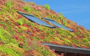 East Herrington living roof systems