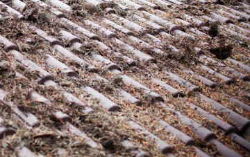 East Herrington roof cleaning companies