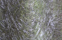 East Herrington fibreglass roof work